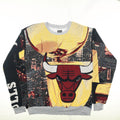 Chicago Bulls Tapestry Panel Pullover
