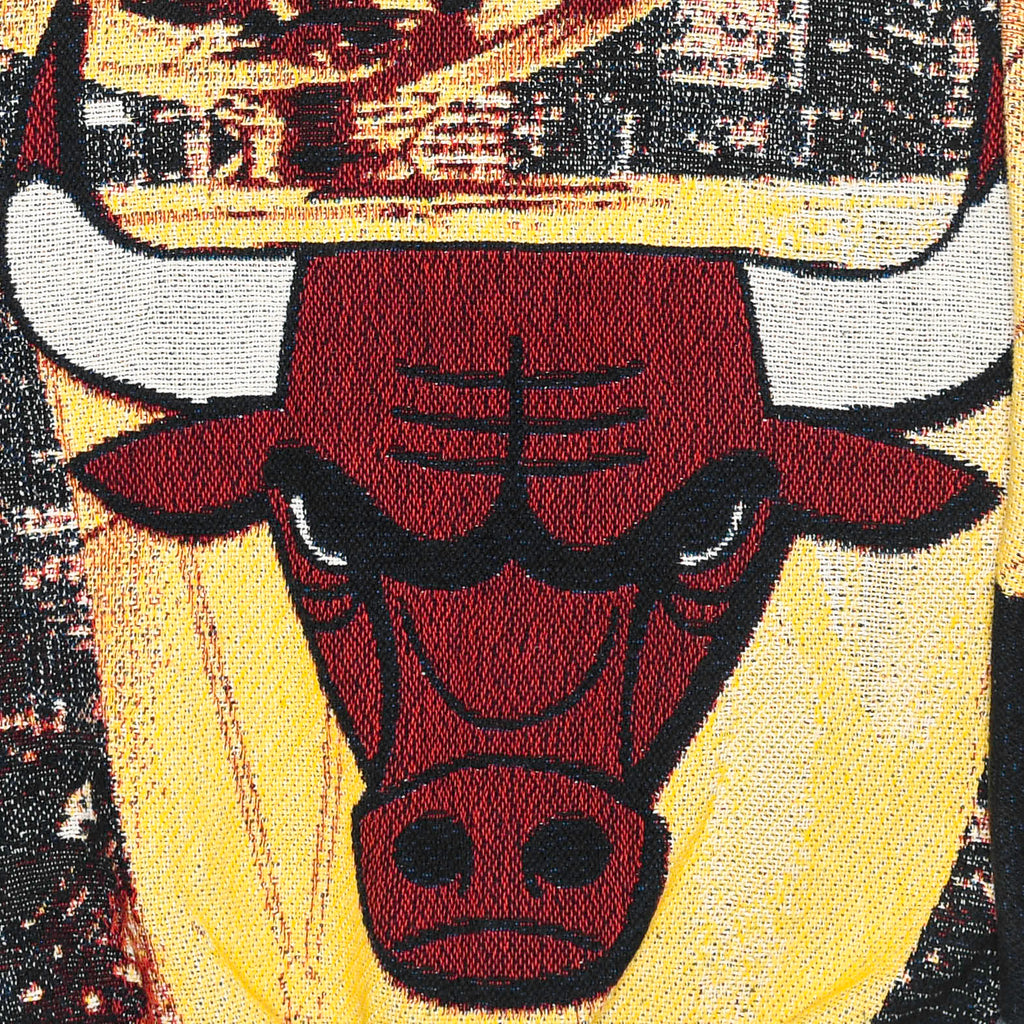 Chicago Bulls Tapestry Panel Pullover