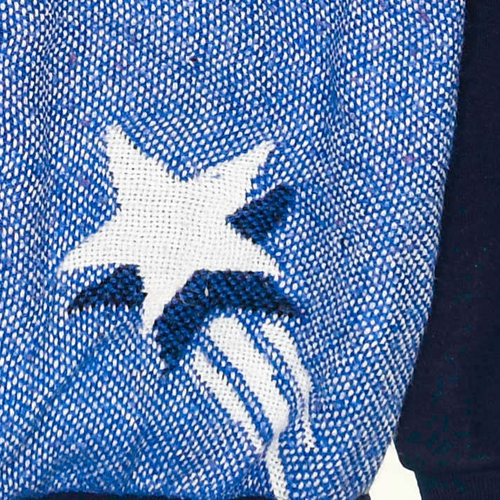 Chicago Bears Tapestry Panel Pullover