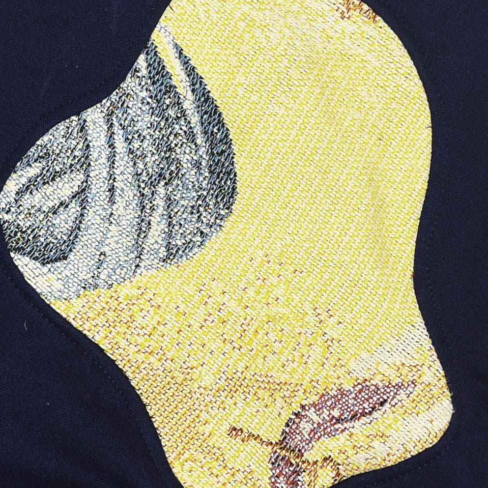 "Harry Potter" Quidditch Amoeba Tapestry Pullover