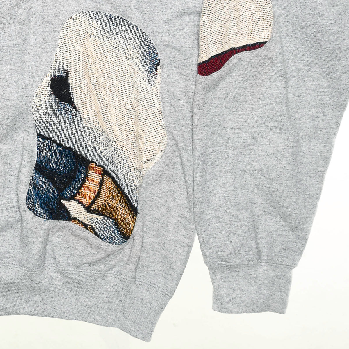 Race Car Amoeba Tapestry Pullover