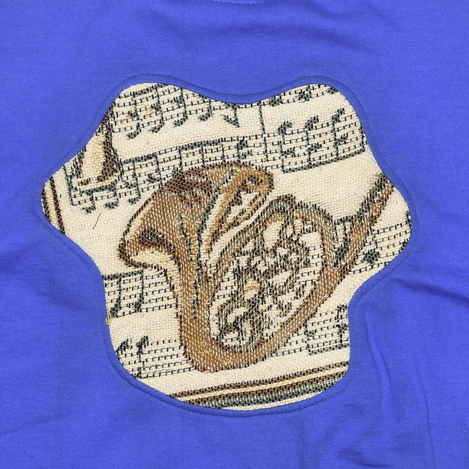 Musical Instruments Amoeba Tapestry Pullover