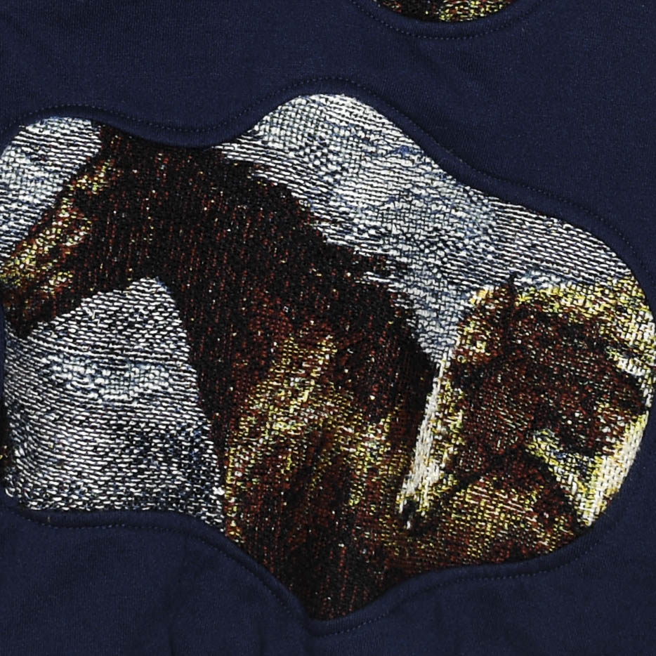Blue Skies & Horses Amoeba Tapestry Pullover