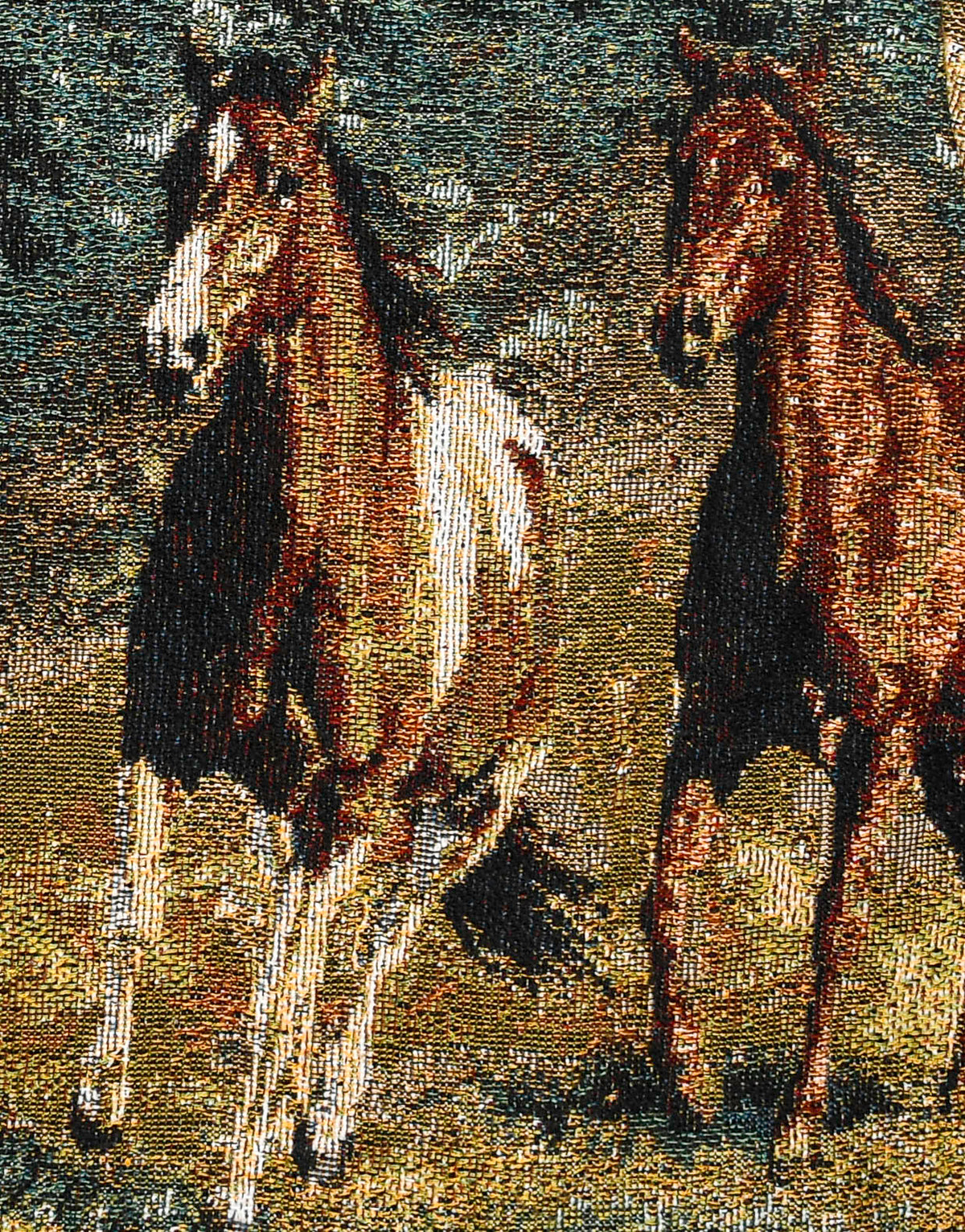 Southwest Wild Horses Double Tapestry Zip Through