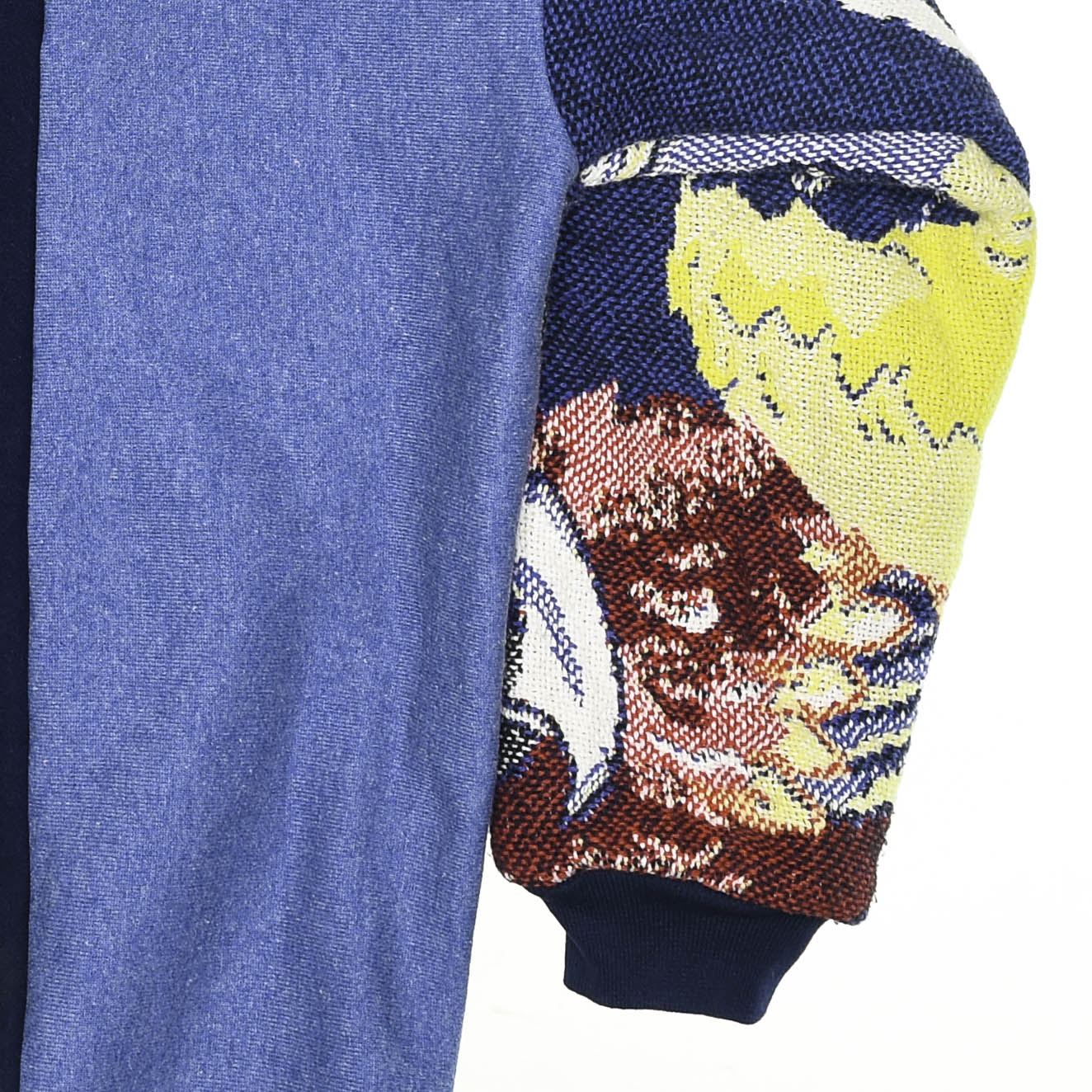 Parrot Tapestry Panel Pullover