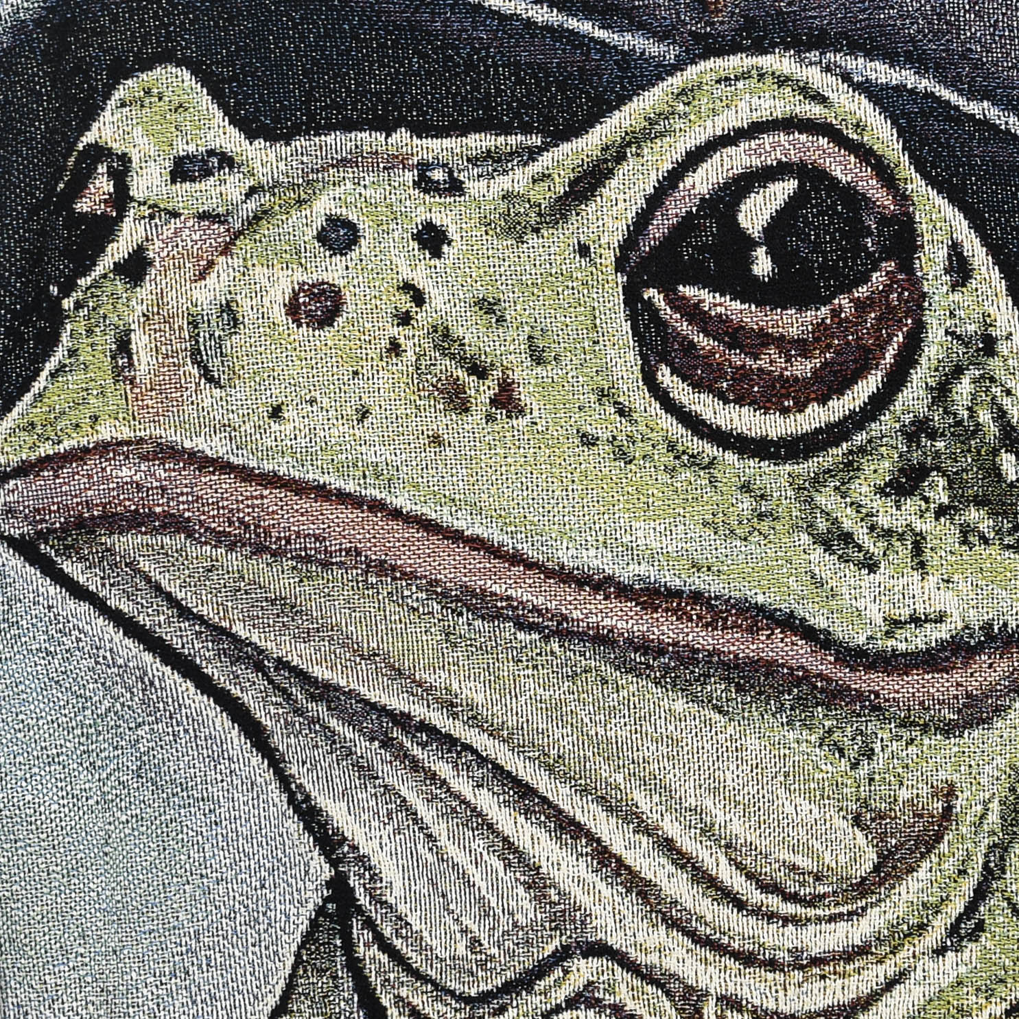 Frog Wizard Full Tapestry Panel Pullover