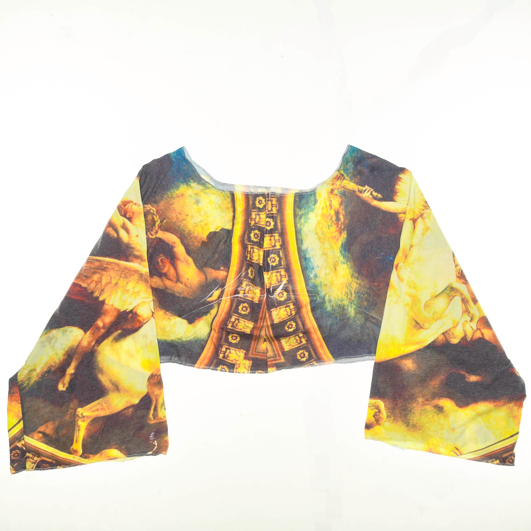 Vintage Art Reversible Crop Top