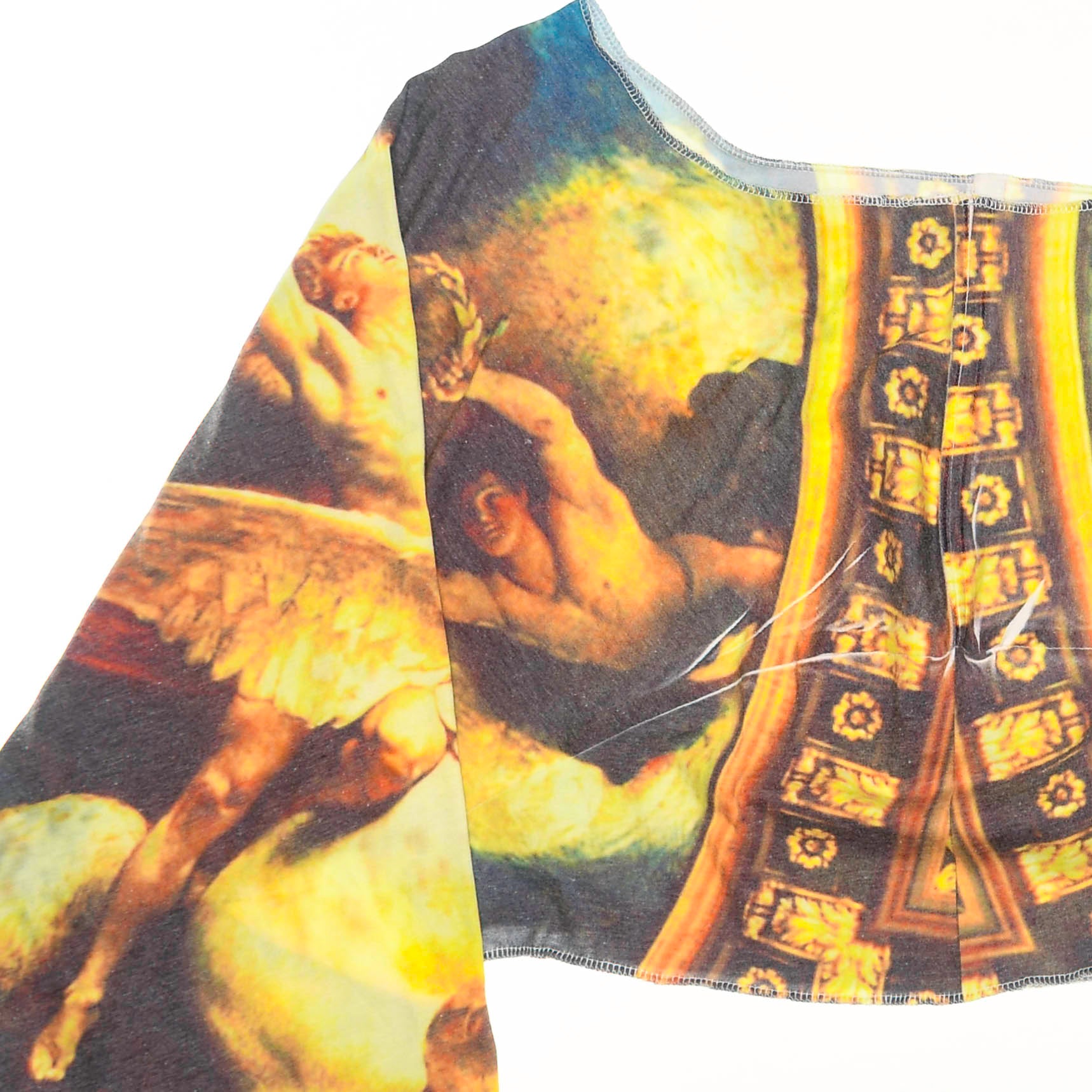 Vintage Art Reversible Crop Top