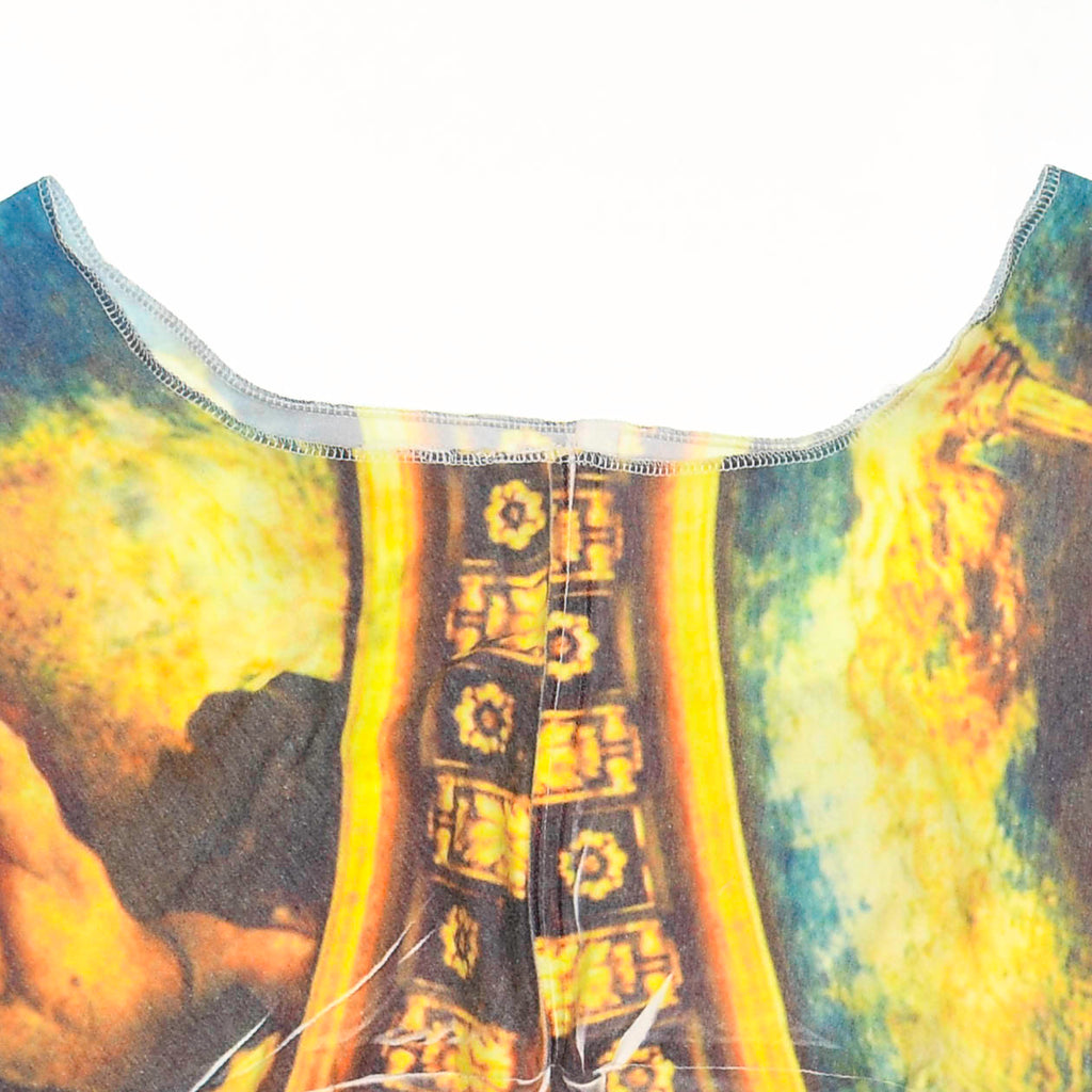 Vintage Art Reversible Crop Top