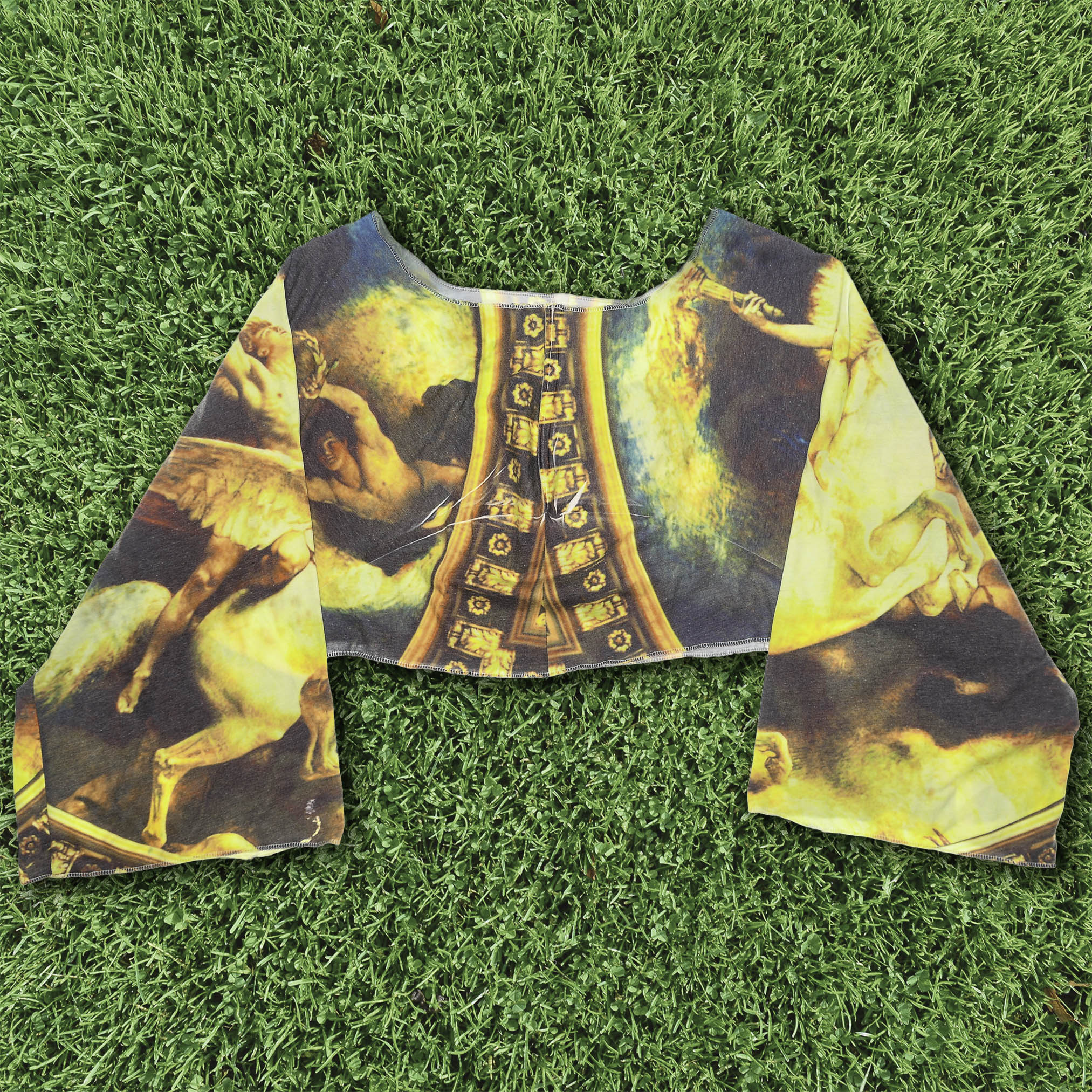 Vintage Art Reversible Crop Top