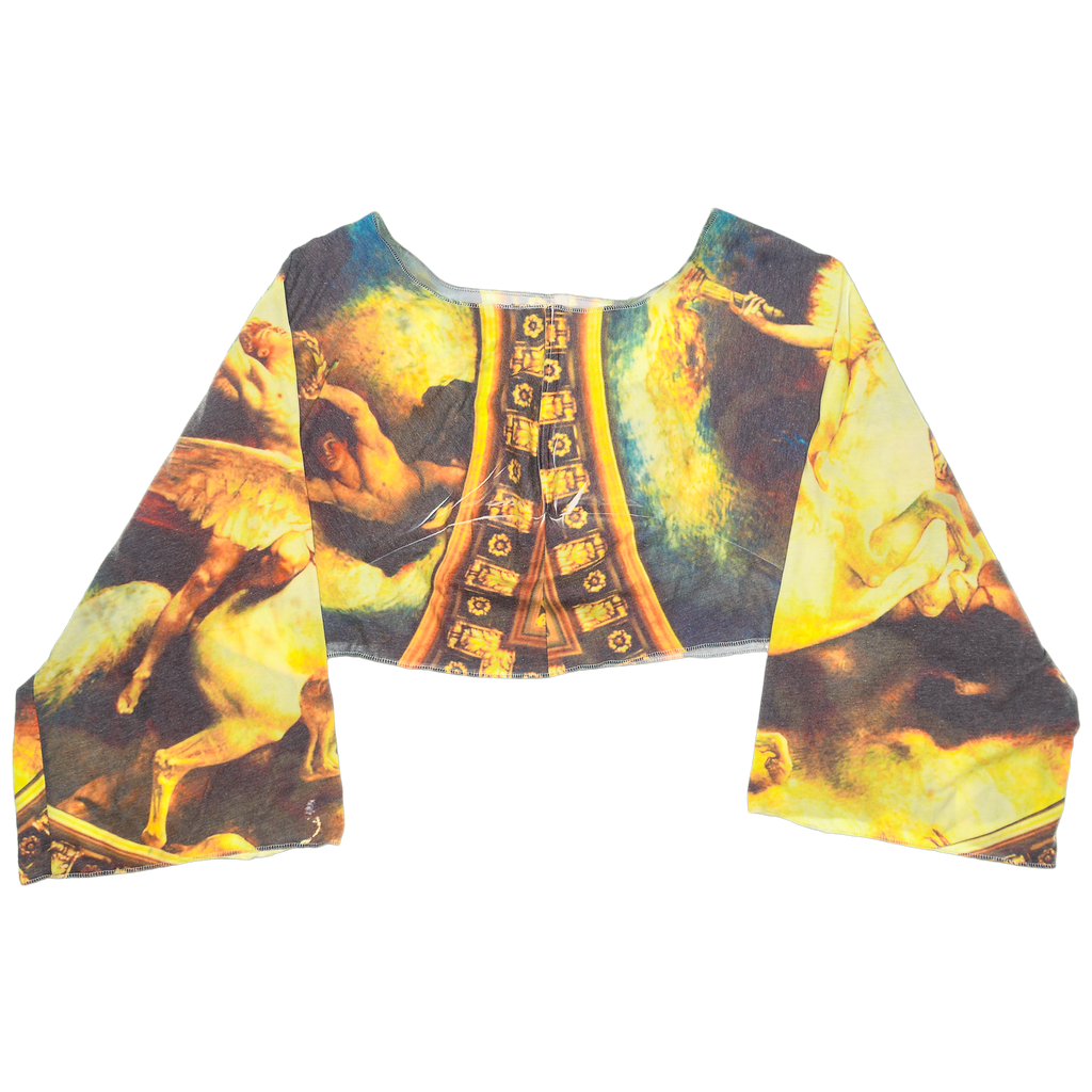Vintage Art Reversible Crop Top