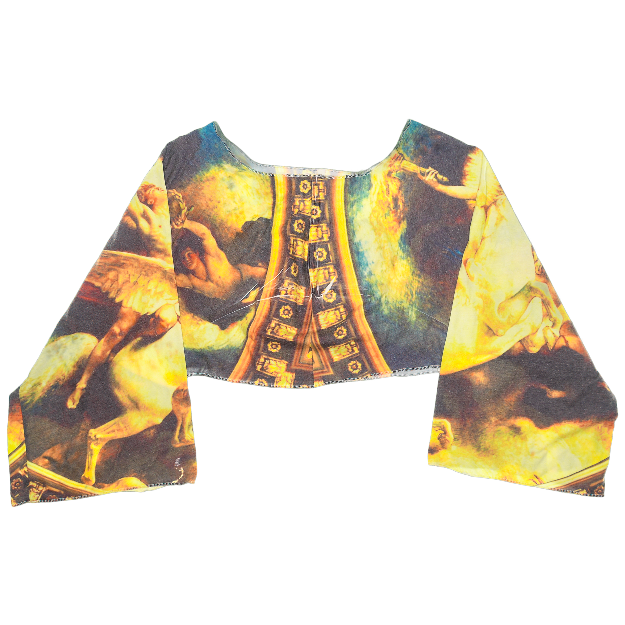 Vintage Art Reversible Crop Top