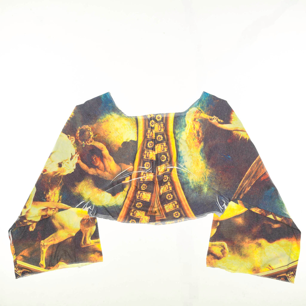 Vintage Art Reversible Crop Top