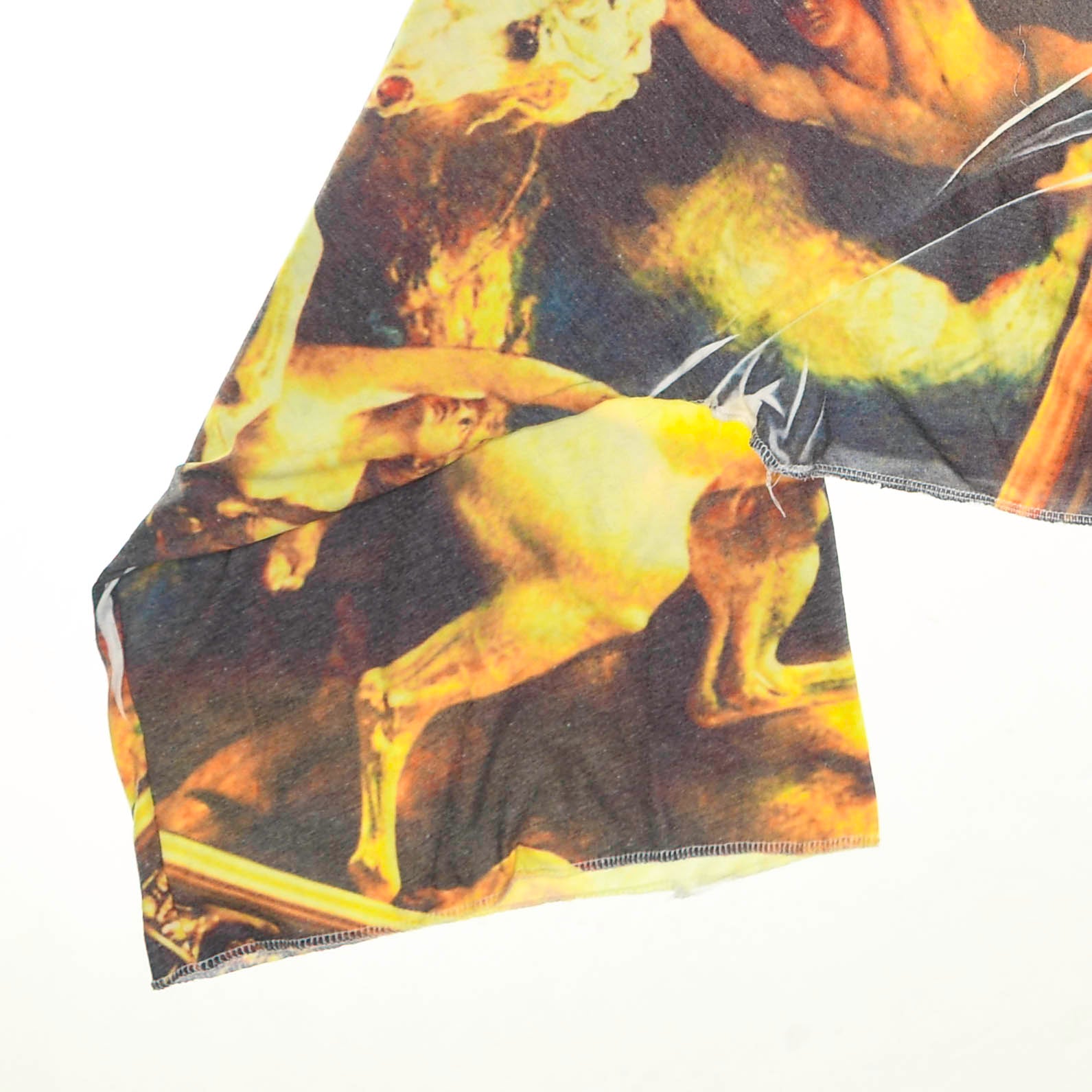 Vintage Art Reversible Crop Top