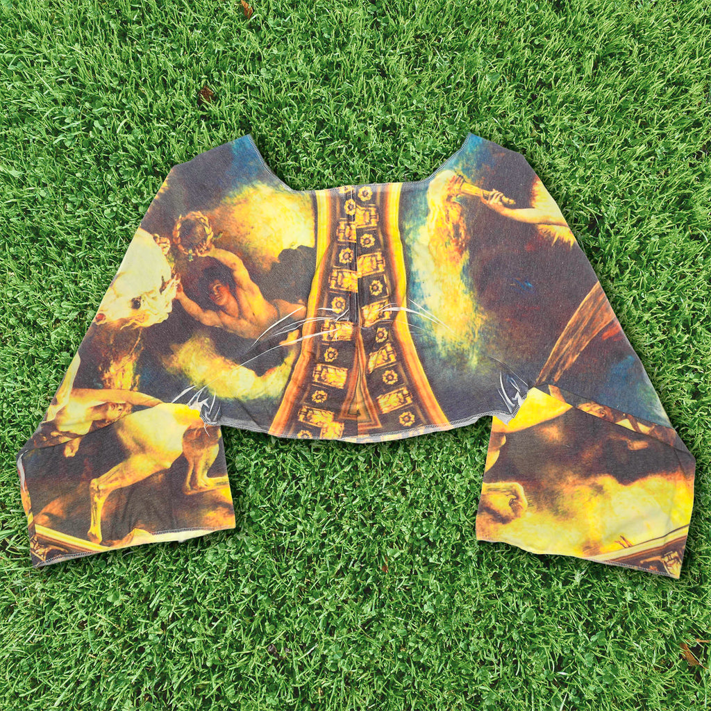 Vintage Art Reversible Crop Top