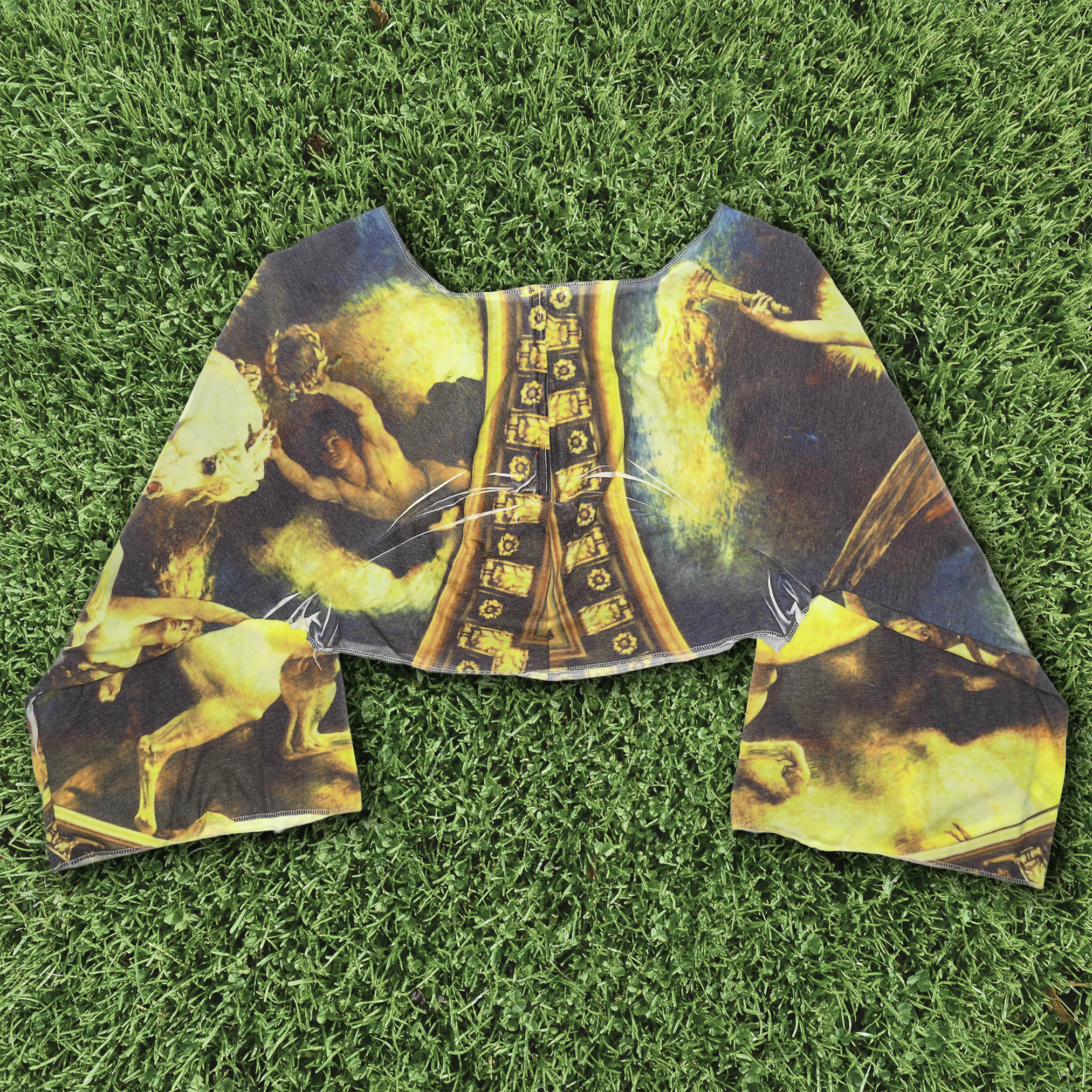 Vintage Art Reversible Crop Top