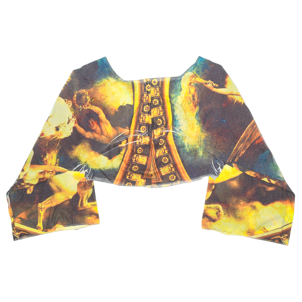 Vintage Art Reversible Crop Top