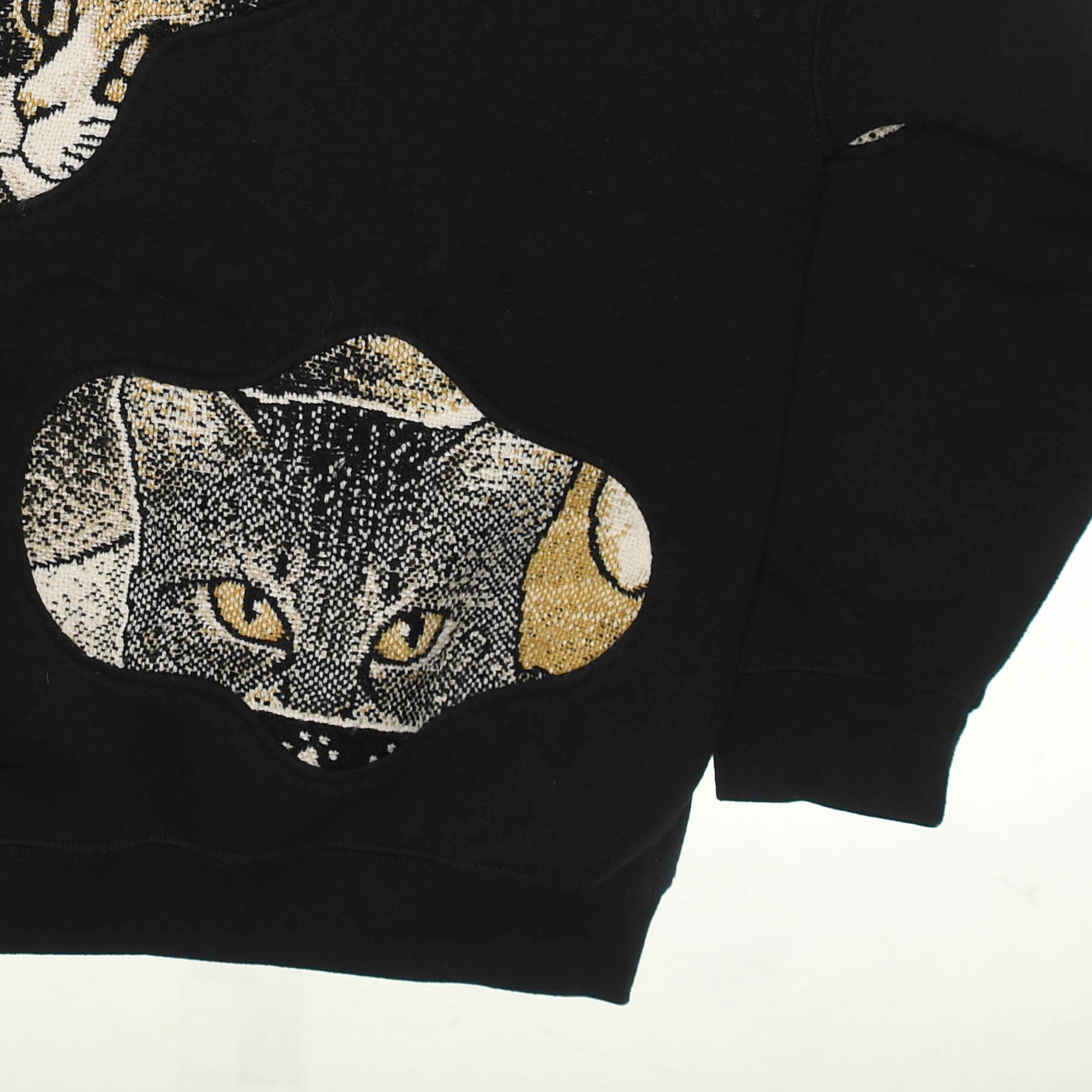 Brown Cat Amoeba Tapestry Pullover