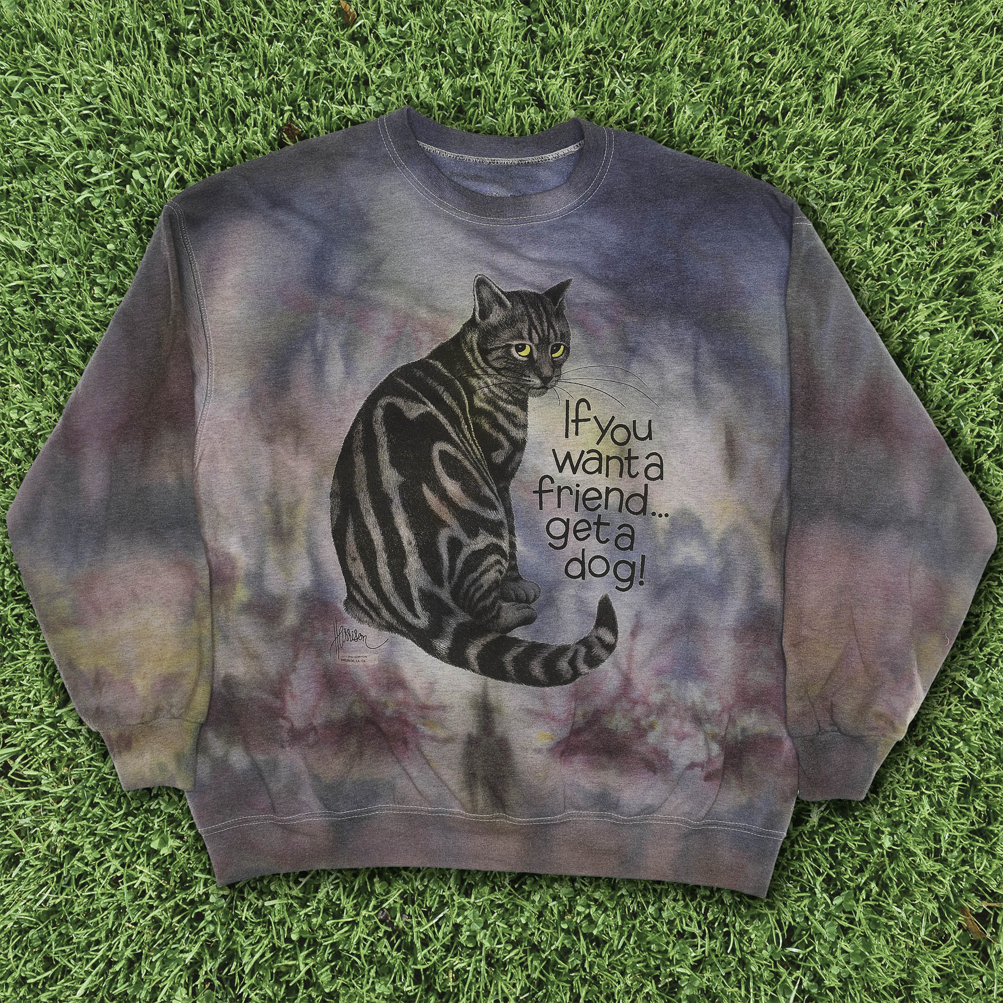 "If you want a friend, get a dog!" Iced Dye Cat Pullover