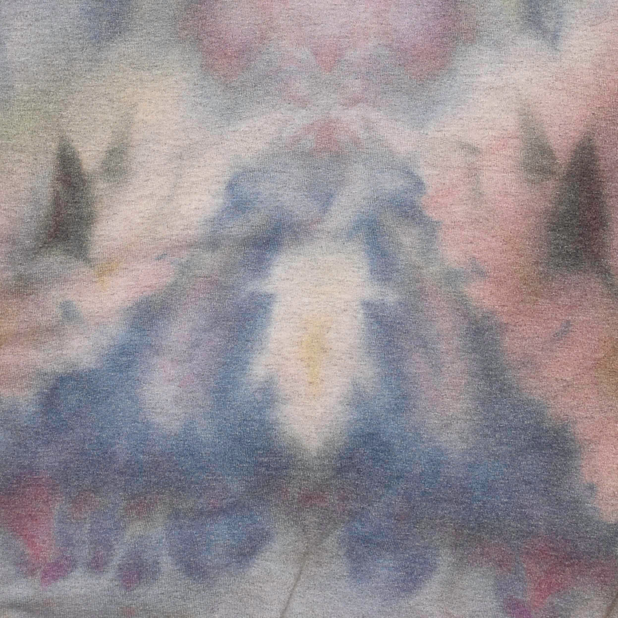 "If you want a friend, get a dog!" Iced Dye Cat Pullover