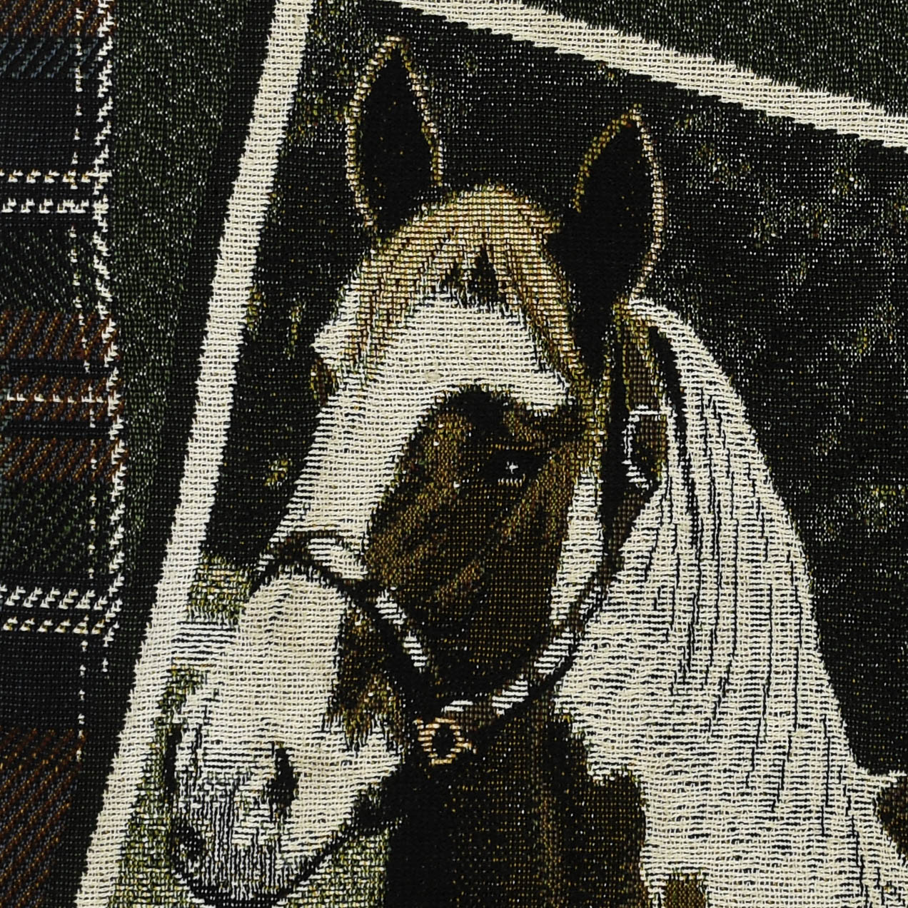 Tapestry Zip Through