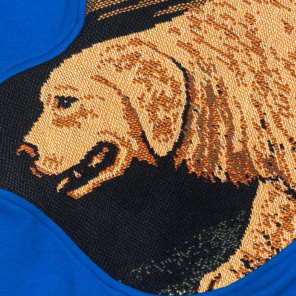 Dog Hunting Amoeba Tapestry Pullover