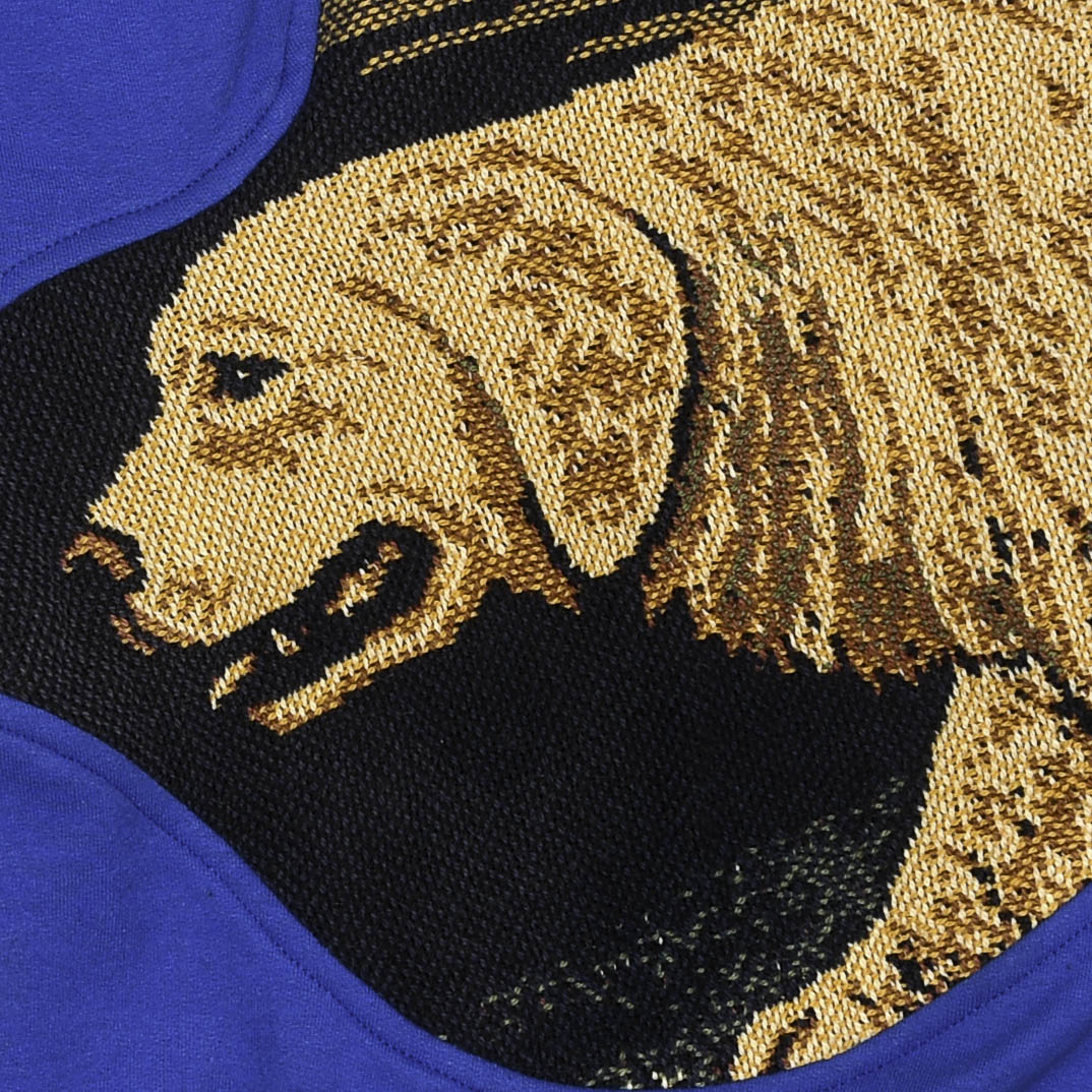 Dog Hunting Amoeba Tapestry Pullover