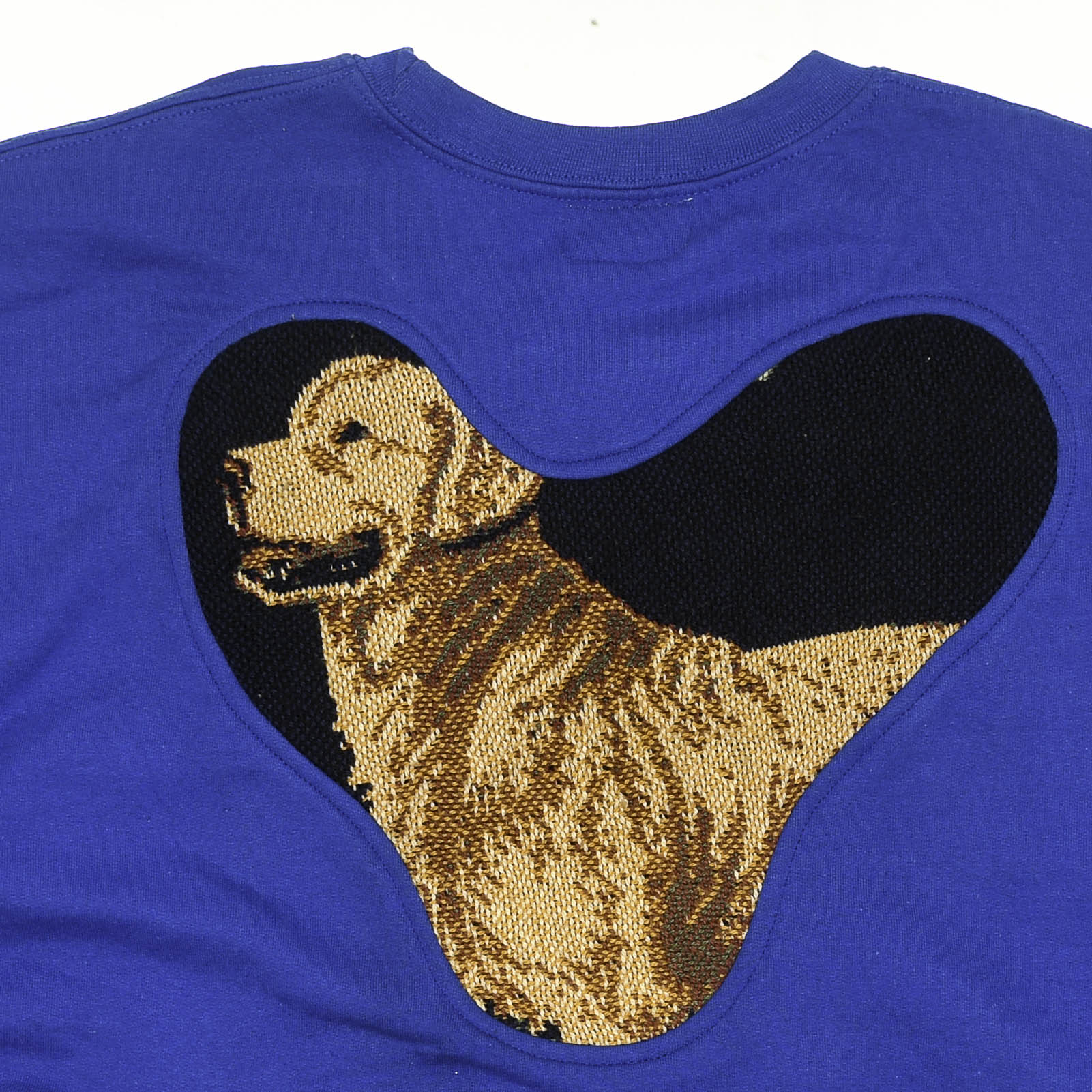 Dog Hunting Amoeba Tapestry Pullover