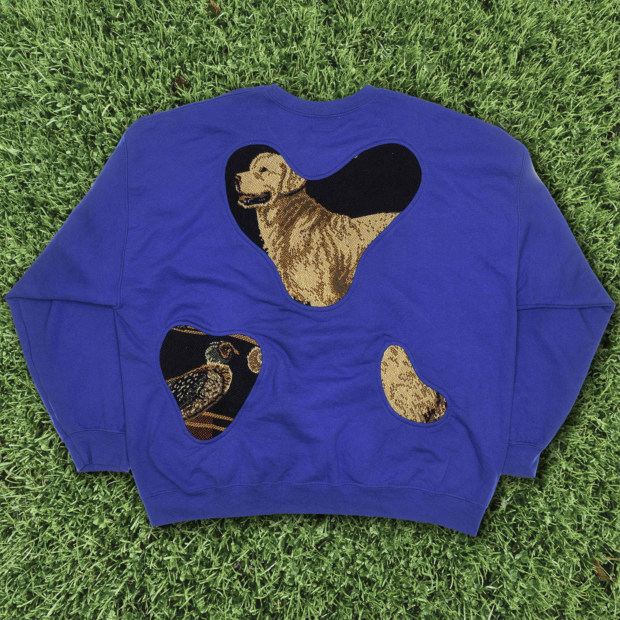 Dog Hunting Amoeba Tapestry Pullover
