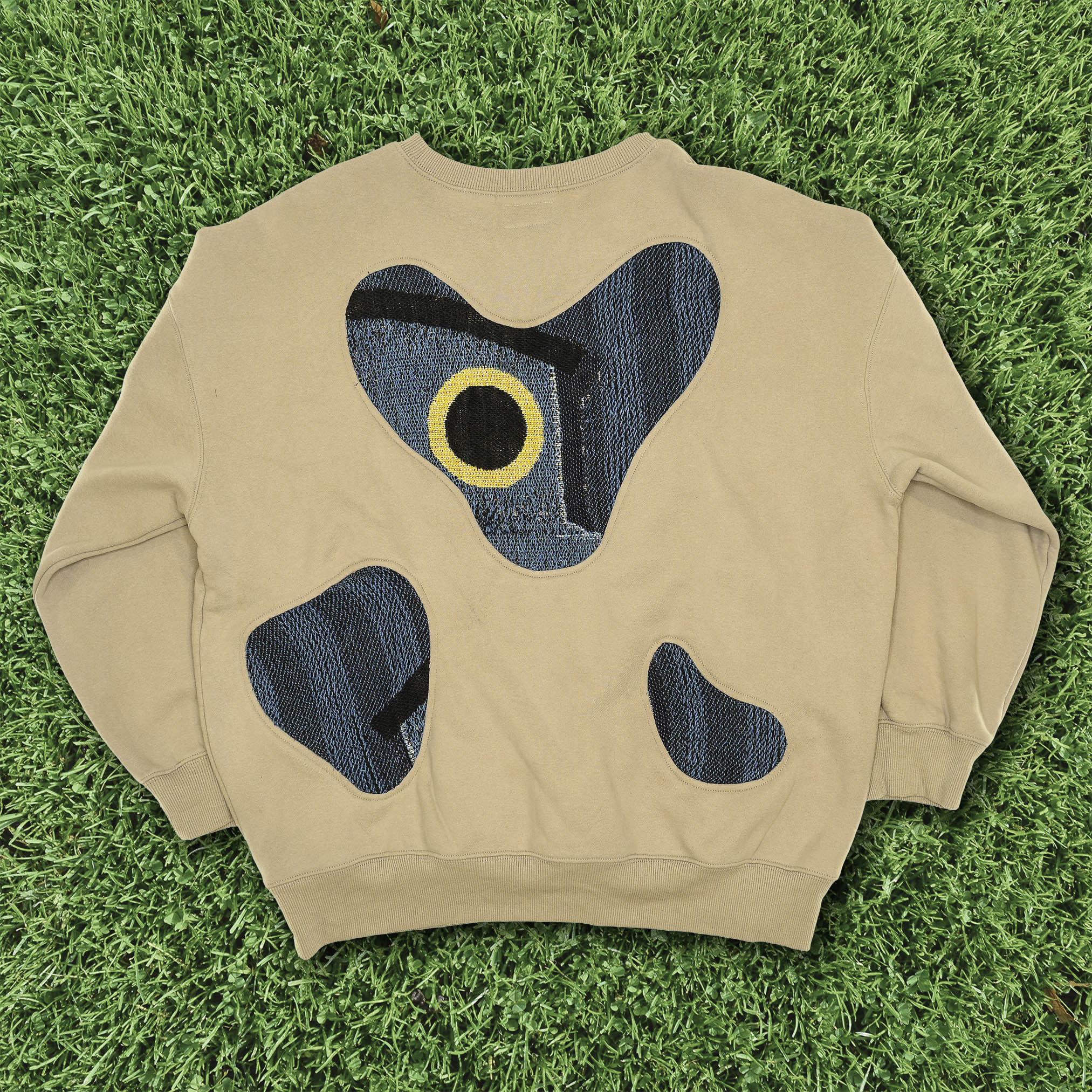 Thomas the Train Amoeba Tapestry Pullover