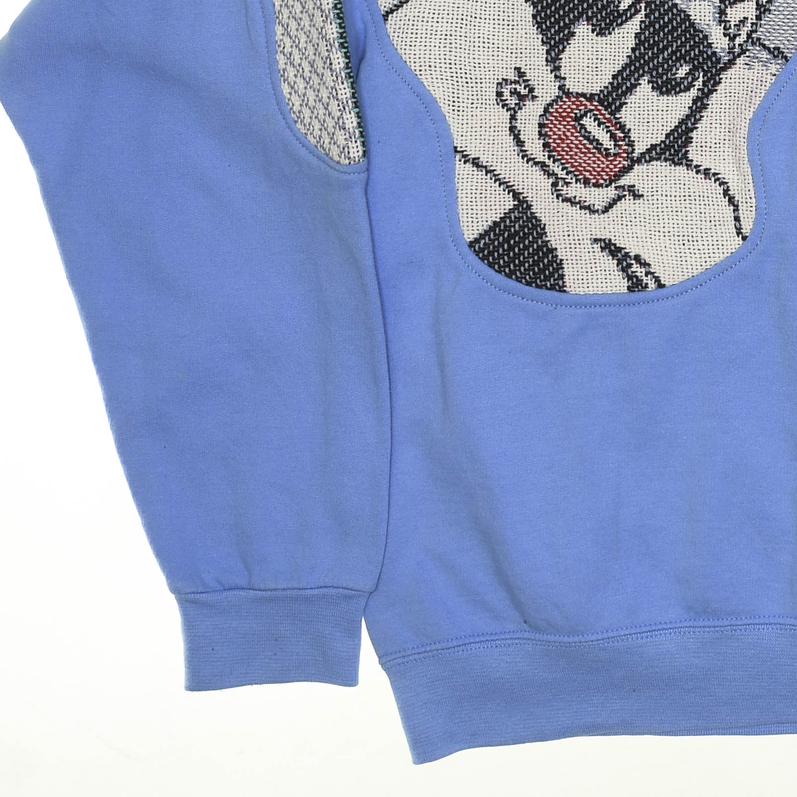 Looney Toons Cartoon Amoeba Tapestry Pullover