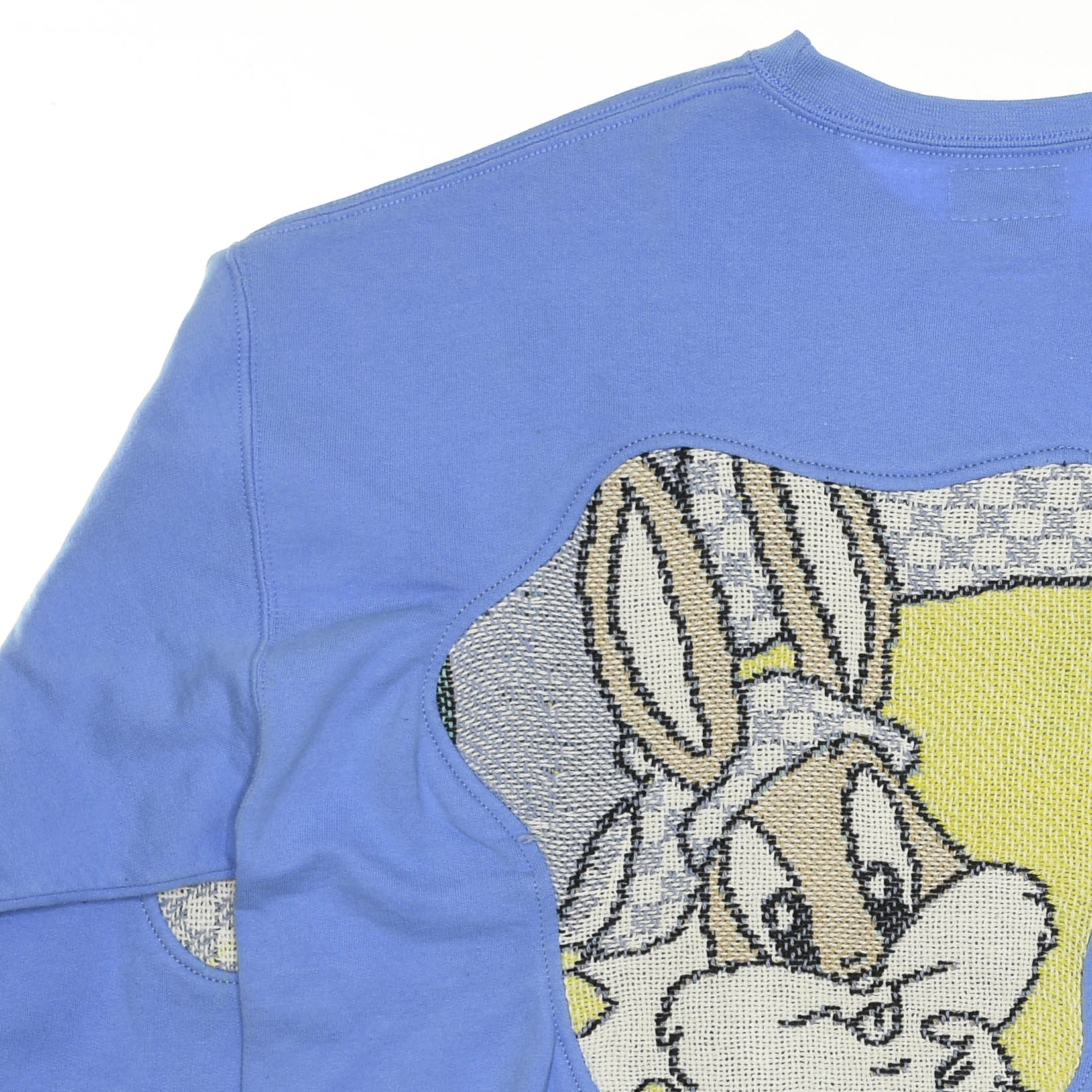 Looney Toons Cartoon Amoeba Tapestry Pullover