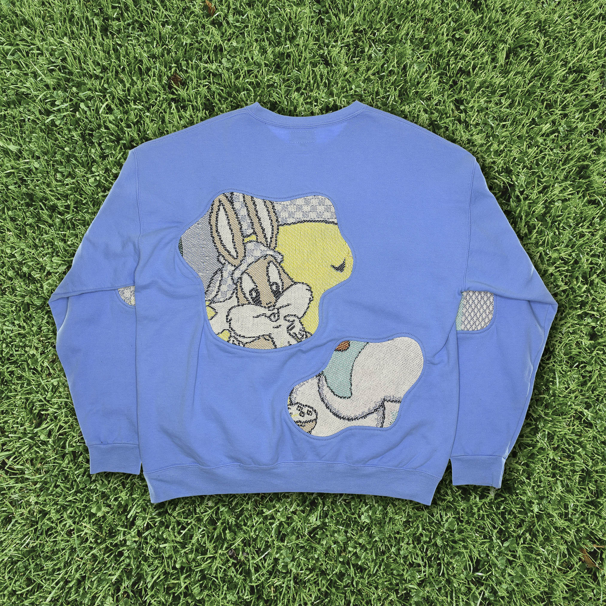 Looney Toons Cartoon Amoeba Tapestry Pullover