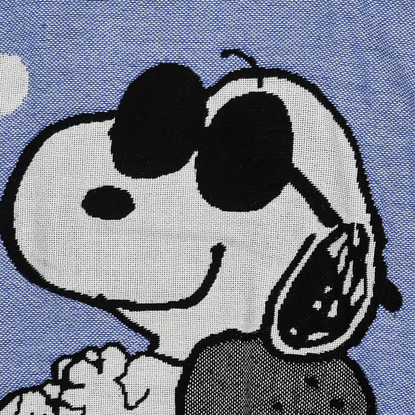 Snoopy Full Tapestry Pullover