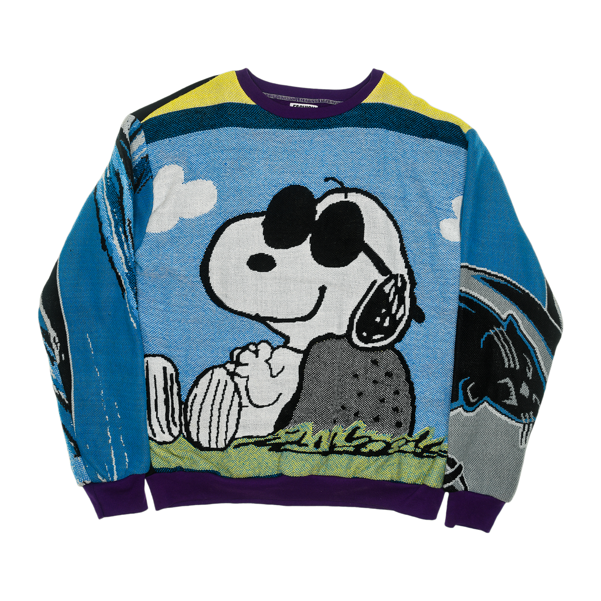 Snoopy Full Tapestry Panel Pullover